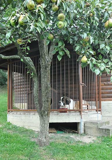 Садиба У Крайлюків Jaremtsche Exterior foto